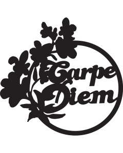 Marabu 0287000000005 Silhouette Sjabloon 15 x 15 cm Carpe Diem - STUK