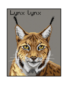 Orchidea 3012H Stramien voorbedrukt Eurasian Lynx 24 x 30 cm - STUK