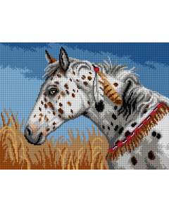 Orchidea 3193J Stramien voorbedrukt Appaloosa paard - STUK