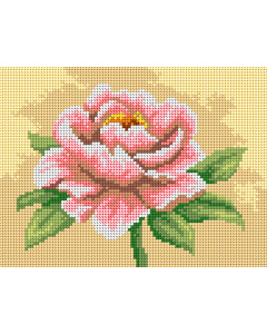 Orchidea 3520F Roos 18x24cm - STUK