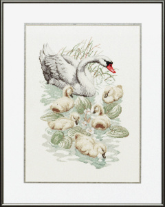 Pako 235.321 Borduurpakket telpatroon aïda Zwaan 40 x 50 cm - STUK