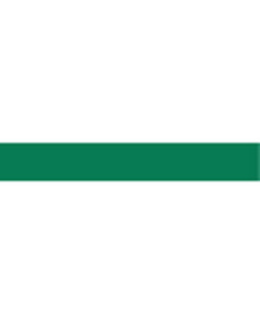Prym 982543 Satijnlint 15 mm groen - ROL